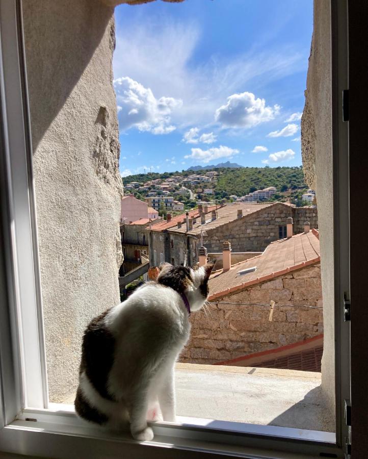 Ferienwohnung T3 Avec Vue Sur La Mer Notre Chez-Nous Propriano  Exterior foto